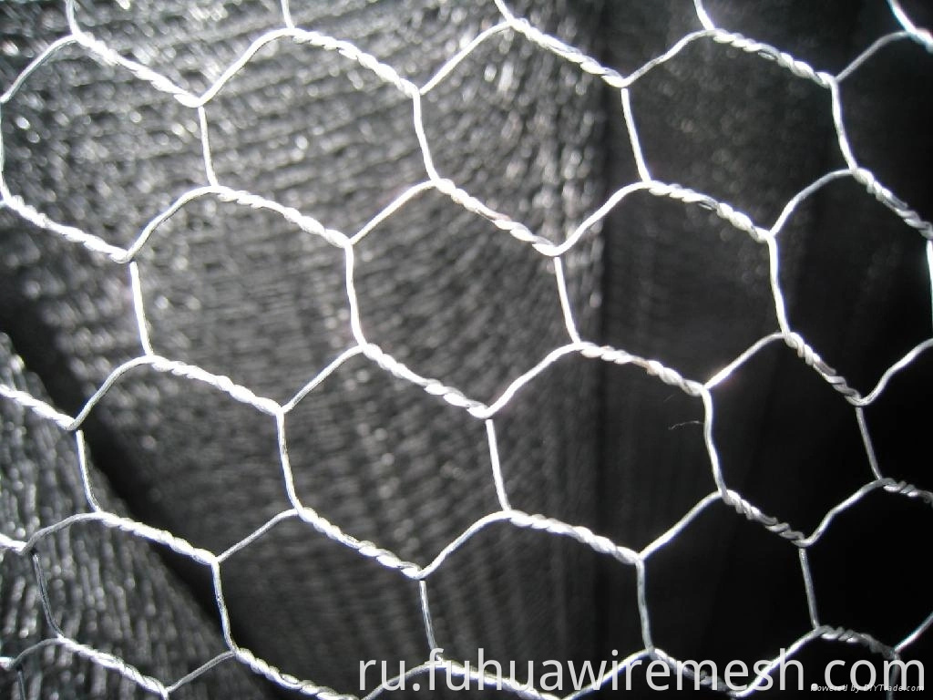 Galvanized Iron Hexagonal Wire Mesh Fencing5